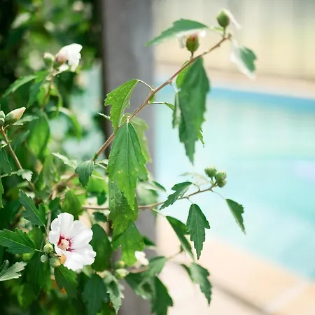 Chateau L' Escale Сasa de vacaciones Saint-Herblon