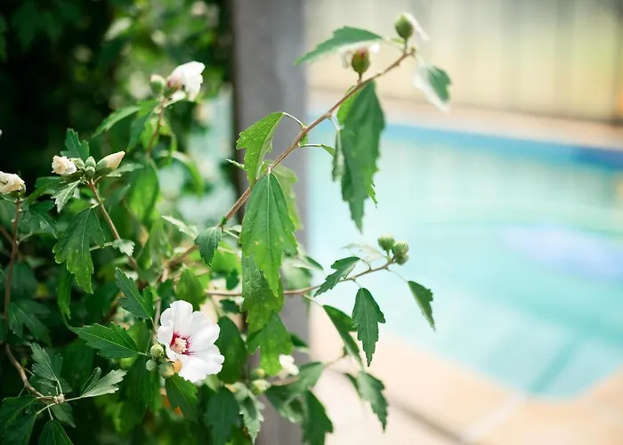 Chateau L' Escale Semesterbostad Saint-Herblon