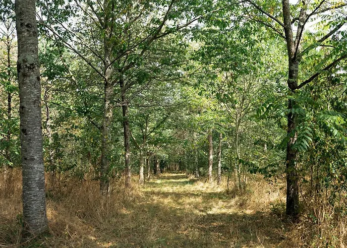 Chateau L' Escale Vakantiehuis *